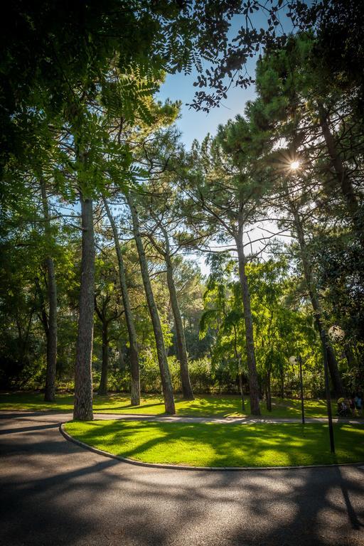Camping La Sousta**** Remoulins Εξωτερικό φωτογραφία