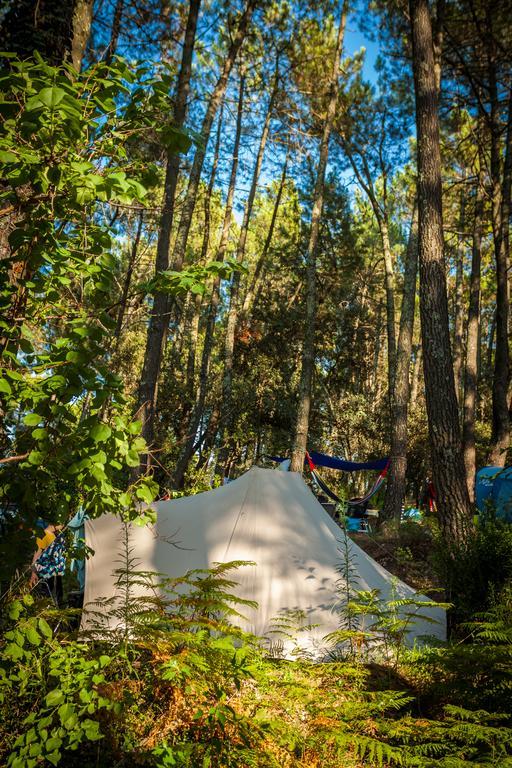 Camping La Sousta**** Remoulins Εξωτερικό φωτογραφία